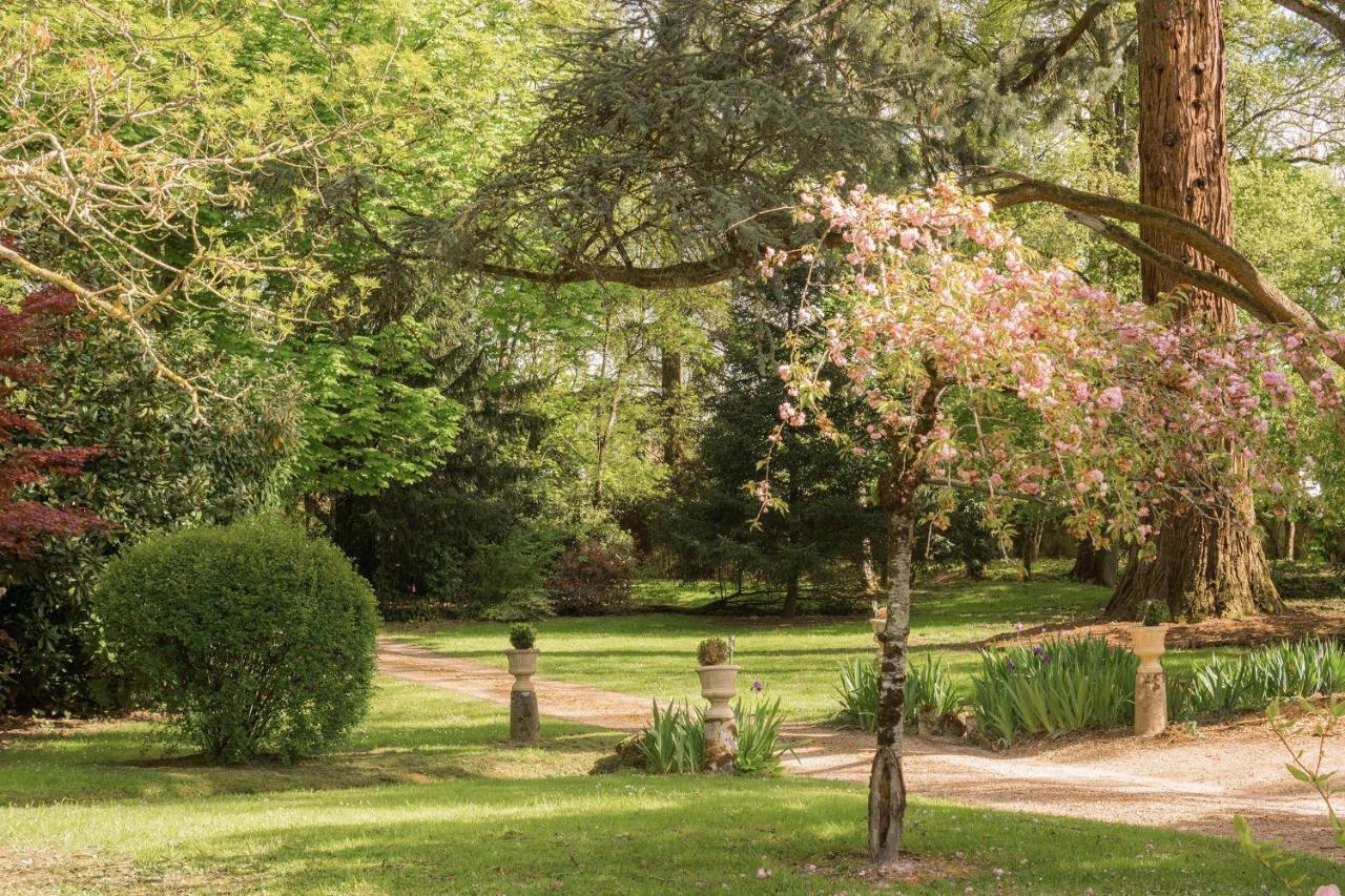Manoir De La Maison Blanche アンボワーズ エクステリア 写真
