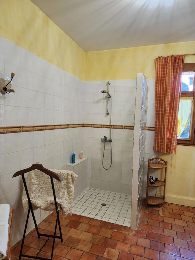 Manoir De La Maison Blanche アンボワーズ エクステリア 写真